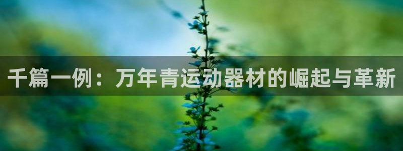 米兰体育官方正版app娱乐代理怎么样：千篇一例：万年