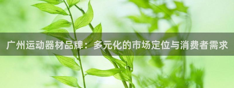 米兰体育官网下载平台注册流程图：广州运动器材品牌：多元化的市