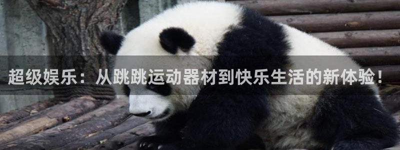 米兰体育官网下载招商电话是多少：超级娱乐：从跳跳运动器材到快