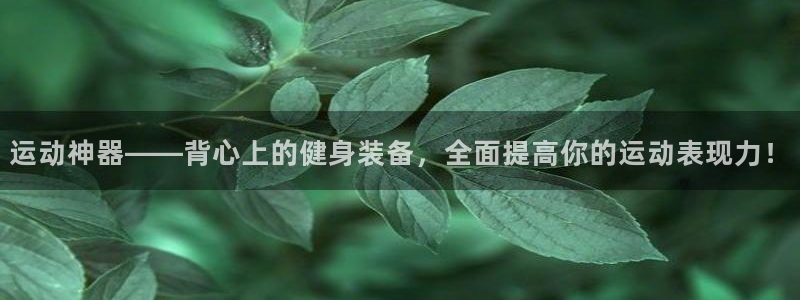 德国米兰体育官方正版app集团：运动神器——背心上的健身装备