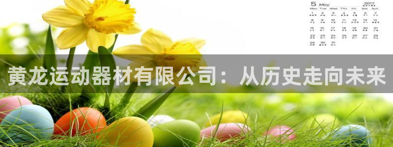 米兰体育官网下载平台是正规平台吗安全吗：黄龙运动器材有限公司