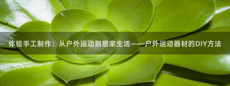 米兰体育官网下载平台是正规平台吗知乎：体验手工制作：从户外运