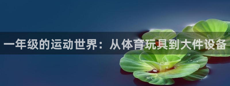 米兰体育官网下载平台假的吗是真的吗：一年级的运动世界：从体育