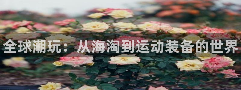 米兰体育官方正版app官方：全球潮玩：从海淘到运动装