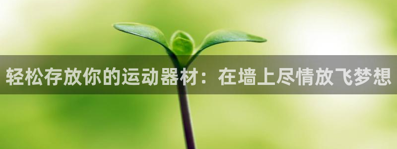 米兰体育官网下载招商电话号码是多少：轻松存放你的运动器材：在