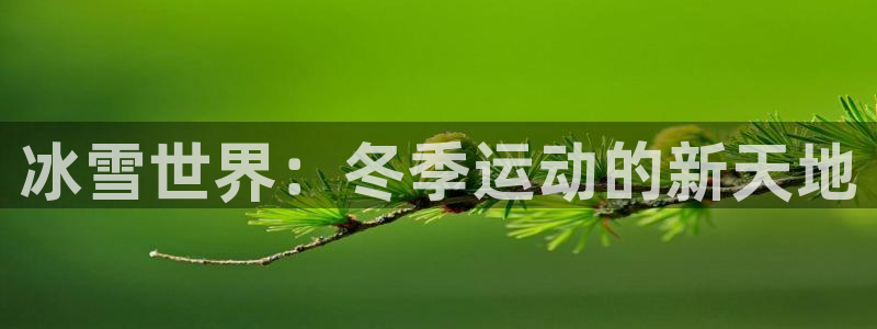 米兰体育官网下载招商电话是多少号码：冰雪世界：冬季运