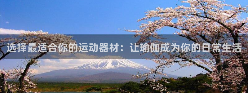 米兰体育官方正版app官网：选择最适合你的运动器材：让瑜伽成