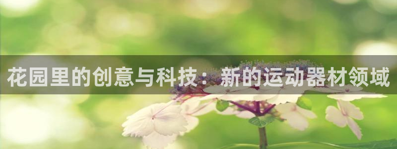 米兰官方集团官网：花园里的创意与科技：新的运动器材领域