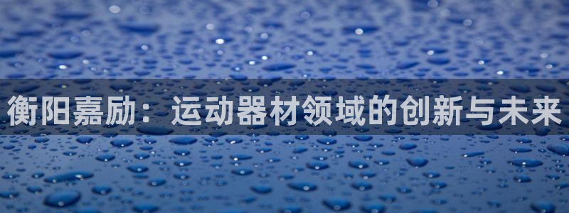 米兰体育官网下载联系电话：衡阳嘉励：运动器材领域的创新与未来