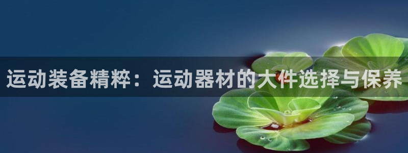 米兰体育官方正版app娱乐首页网站大全：运动装备精粹：运动器